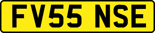 FV55NSE