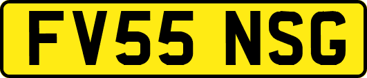 FV55NSG