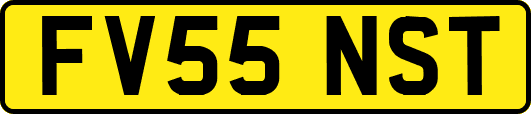FV55NST