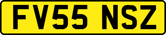 FV55NSZ