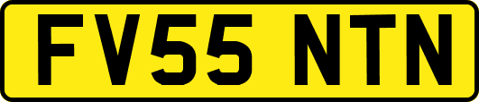 FV55NTN