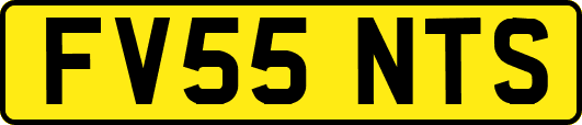 FV55NTS