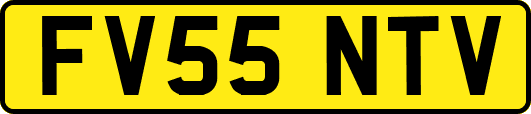 FV55NTV