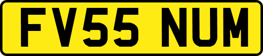 FV55NUM