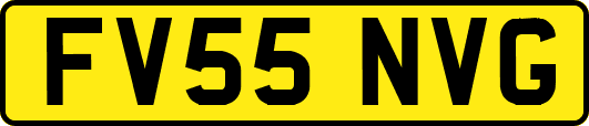 FV55NVG