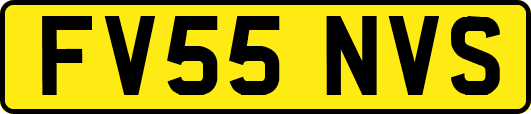 FV55NVS