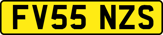 FV55NZS