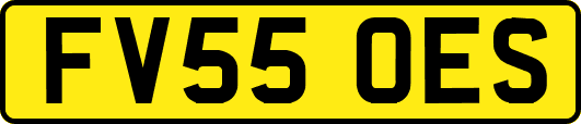 FV55OES