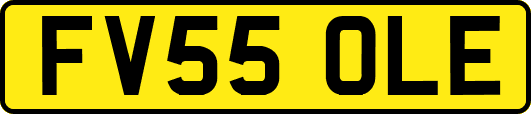 FV55OLE