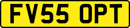 FV55OPT
