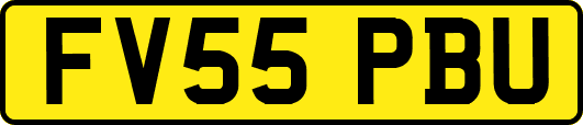 FV55PBU