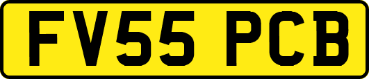 FV55PCB