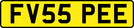 FV55PEE