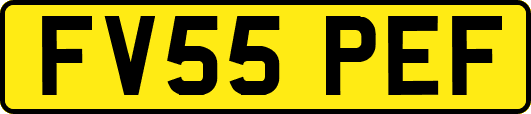 FV55PEF