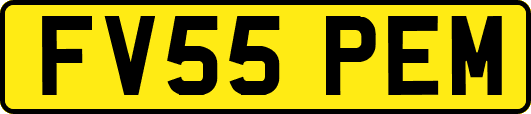 FV55PEM