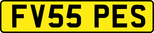 FV55PES