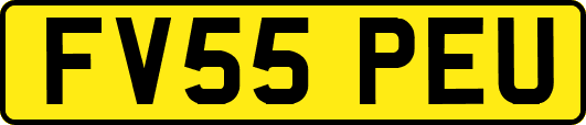 FV55PEU