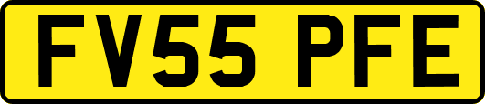FV55PFE