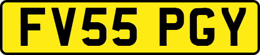 FV55PGY