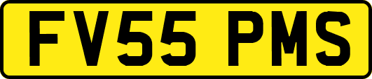 FV55PMS