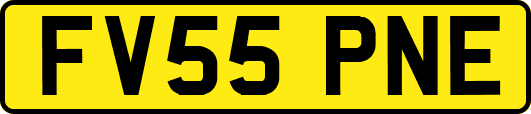 FV55PNE