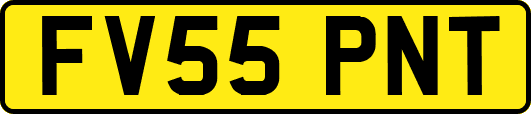 FV55PNT
