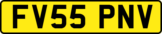 FV55PNV