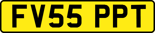 FV55PPT