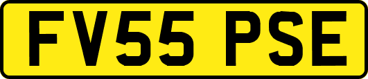FV55PSE