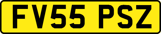 FV55PSZ