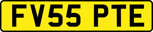 FV55PTE