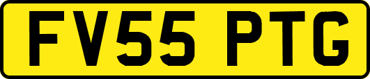 FV55PTG