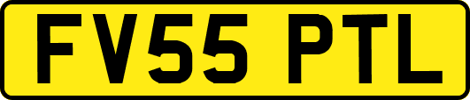 FV55PTL