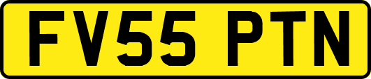 FV55PTN