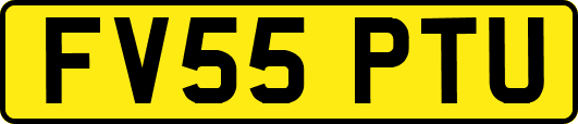 FV55PTU