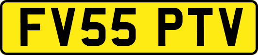 FV55PTV