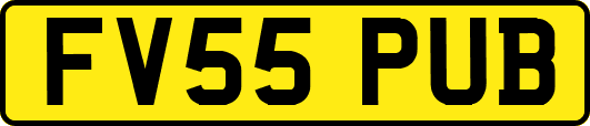 FV55PUB