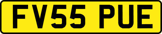 FV55PUE