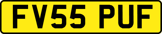 FV55PUF