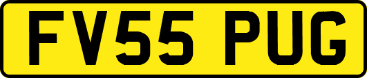 FV55PUG