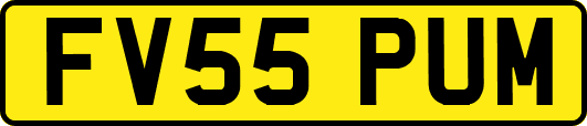 FV55PUM