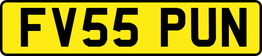 FV55PUN