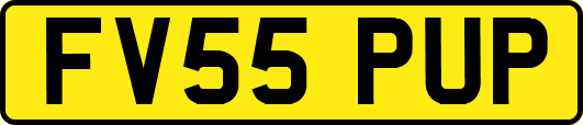 FV55PUP