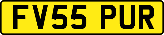 FV55PUR