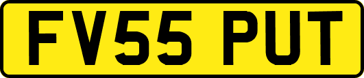 FV55PUT