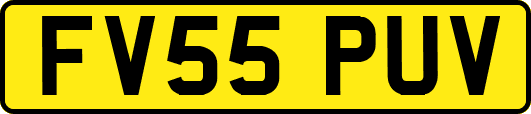 FV55PUV