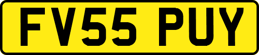 FV55PUY
