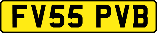 FV55PVB