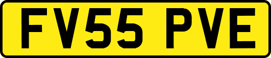 FV55PVE