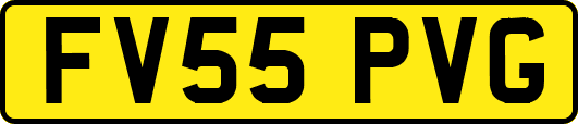 FV55PVG